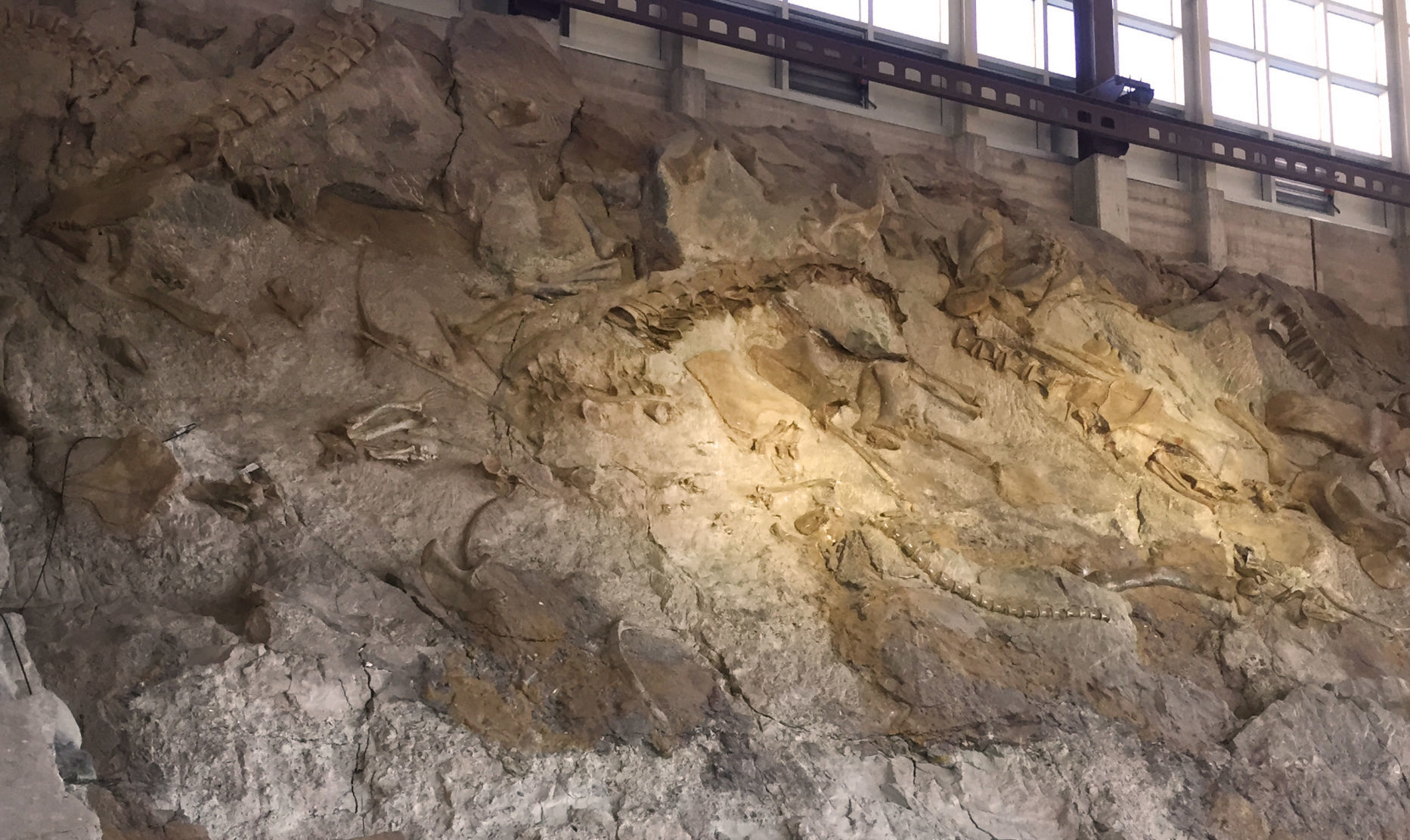 Dinosaur National Monument — quarry wall